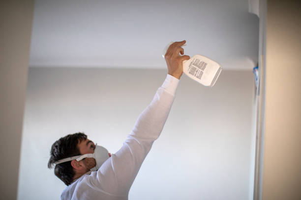 Best Toxic Mold Removal  in Spring Grove, MN