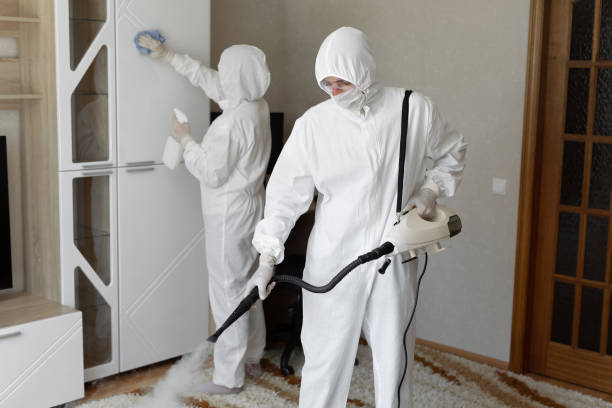 Certified Mold Removal in Spring Grove, MN